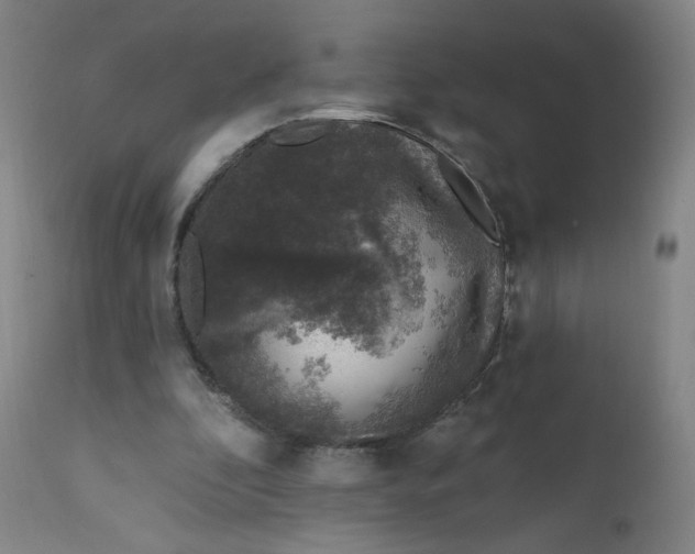 X0000112420296200909041419