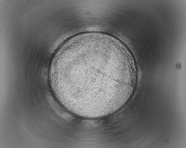 X0000112420297200909041419