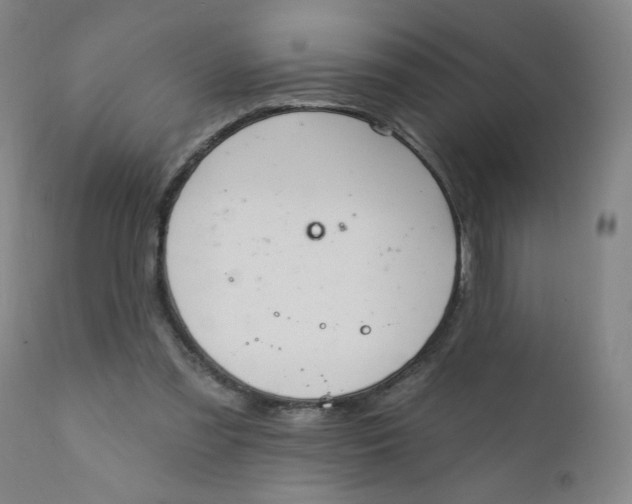 X0000112420301200909041419