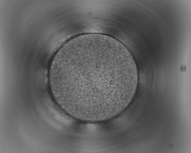 X0000112420302200909041419