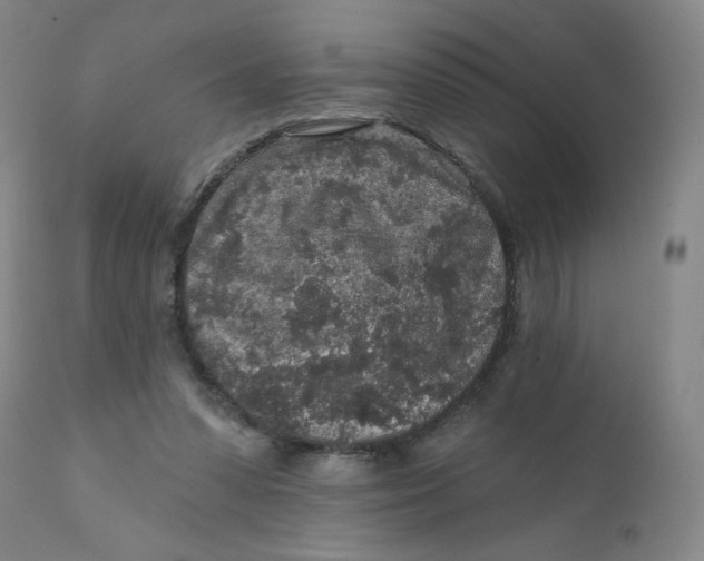 X0000112420303200909041419