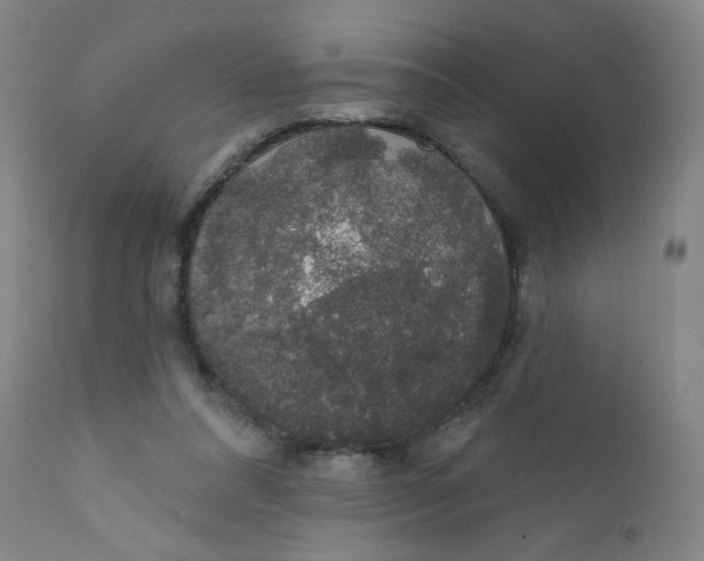 X0000112420304200909041419