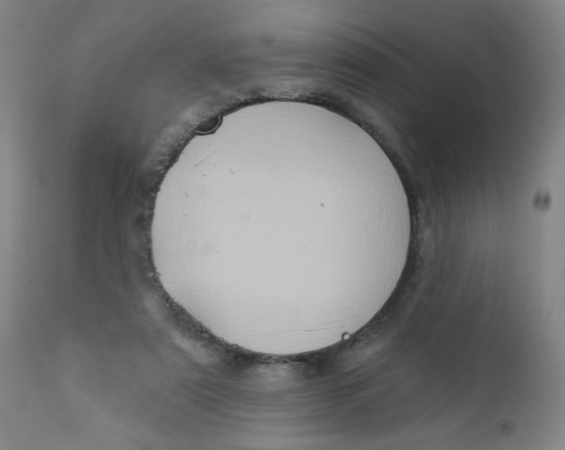 X0000112420307200909041419