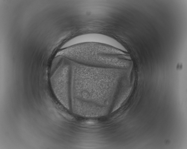 X0000112420308200909041419