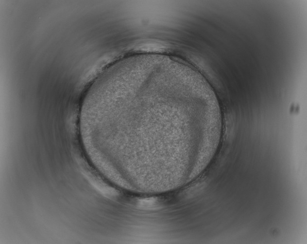 X0000112420309200909041419