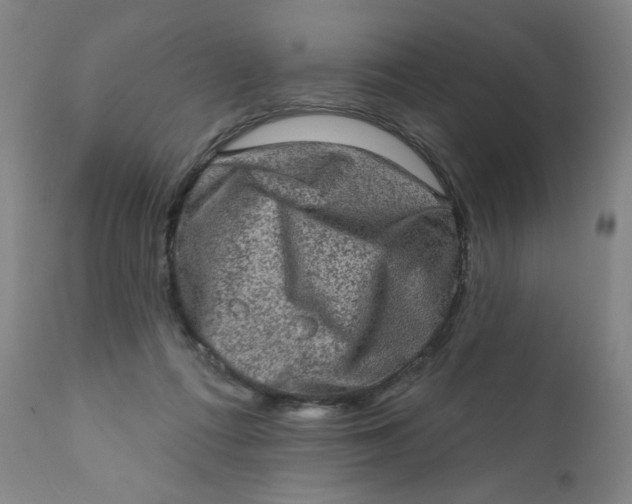 X0000112420312200909041419