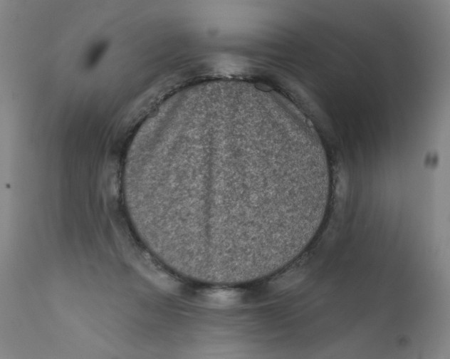 X0000112420313200909041419