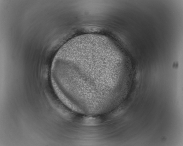 X0000112420315200909041419