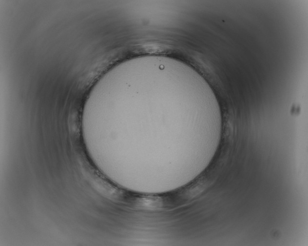 X0000112420317200909041419