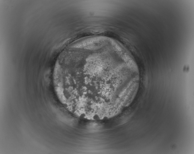 X0000112420319200909041419