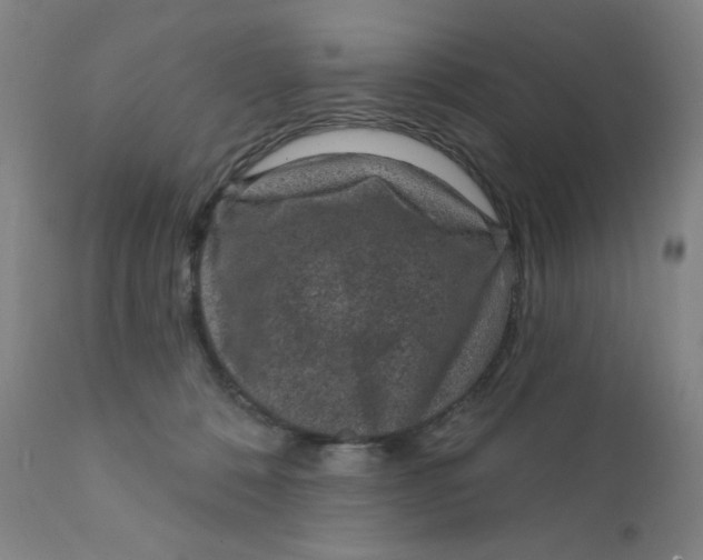 X0000112420320200909041419