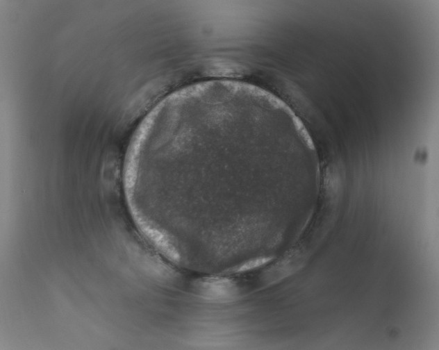 X0000112420322200909041419