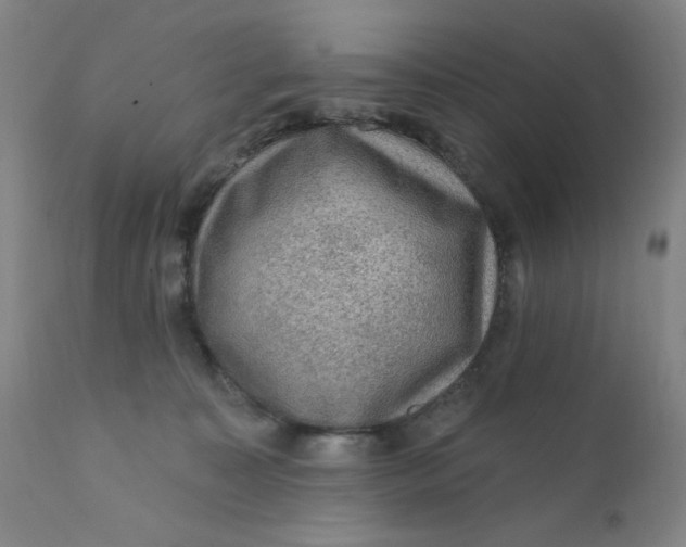 X0000112420323200909041419