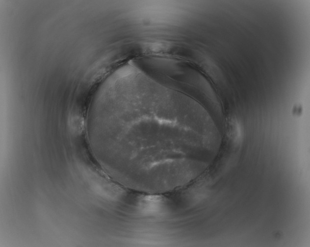 X0000112420324200909041419