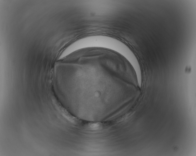 X0000112420325200909041418