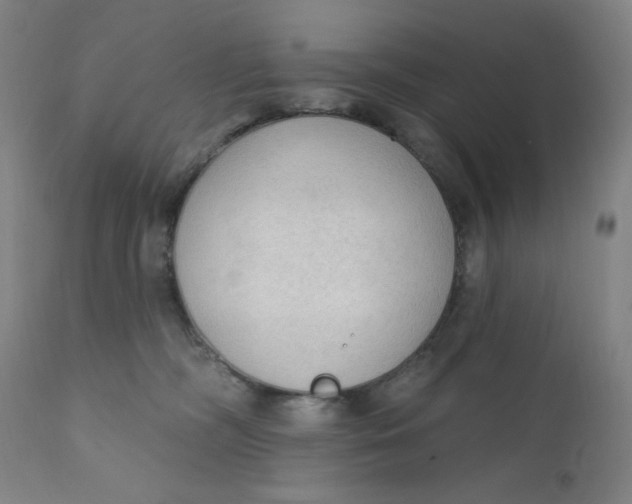 X0000112420326200909041418