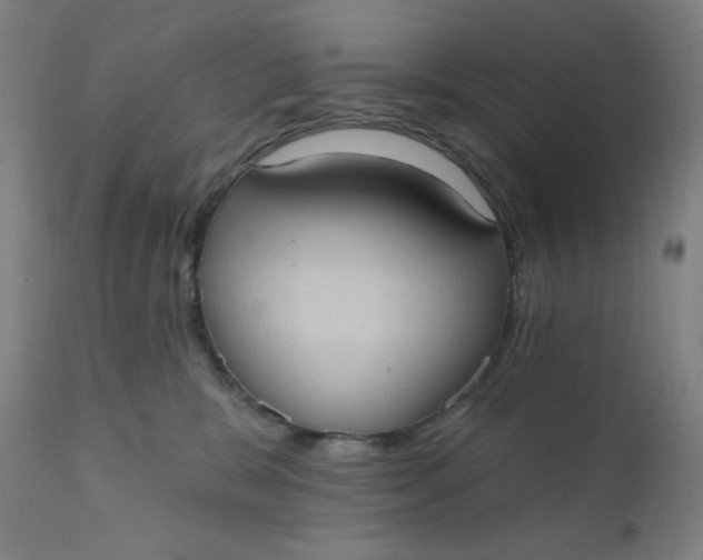 X0000112420327200909041418