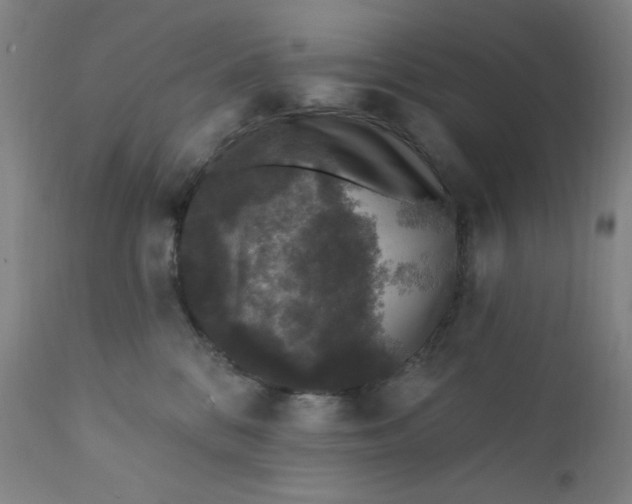 X0000112420328200909041418