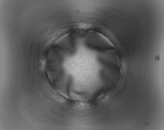 X0000112420329200909041418