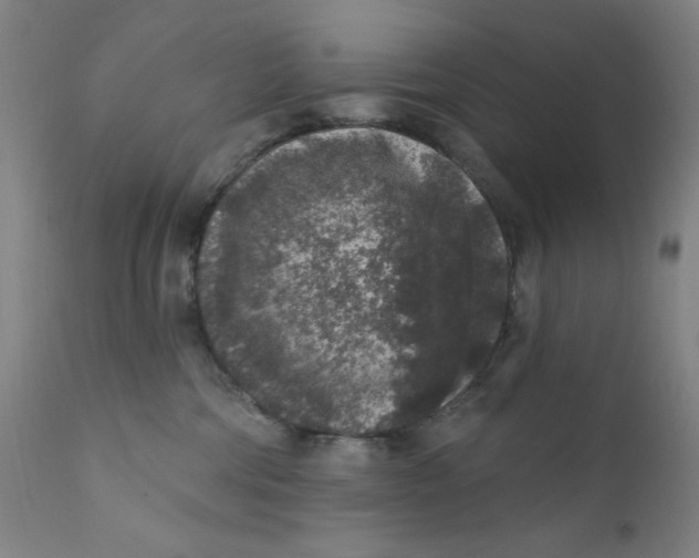 X0000112420330200909041418