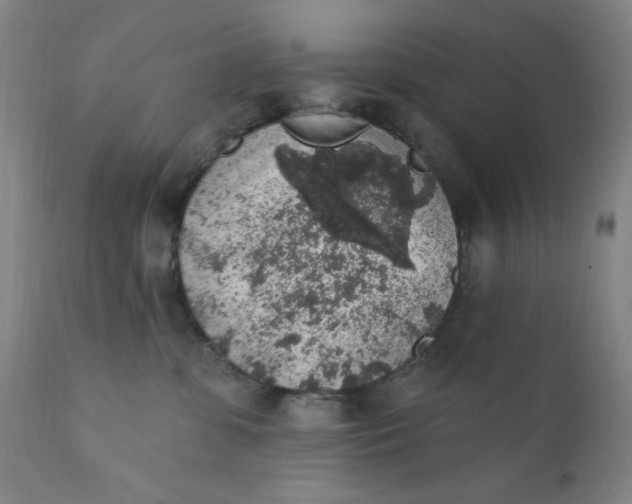 X0000112420331200909041418