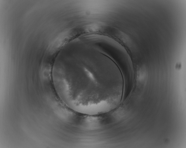 X0000112420332200909041418