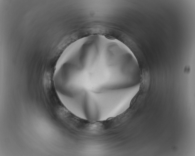 X0000112420333200909041418