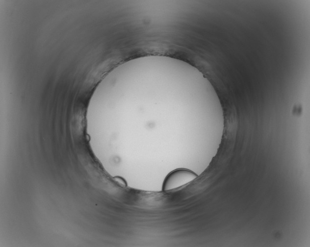 X0000112420334200909041418