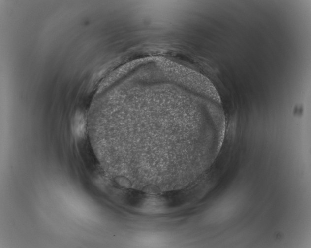 X0000112420335200909041418