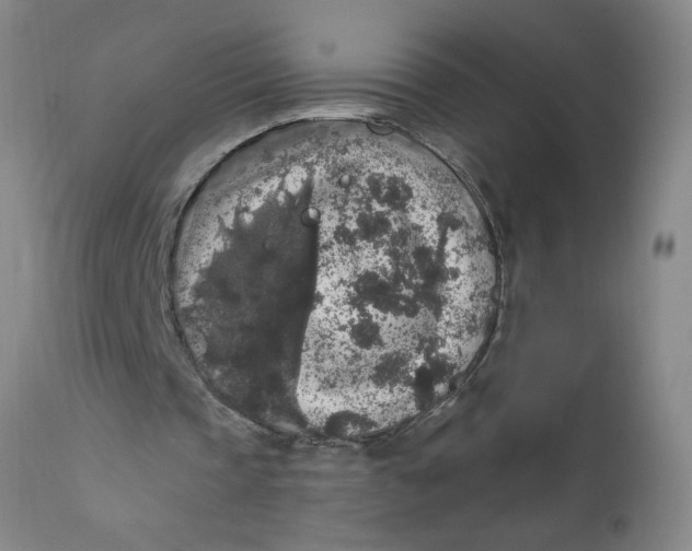 X0000112420337200909041417