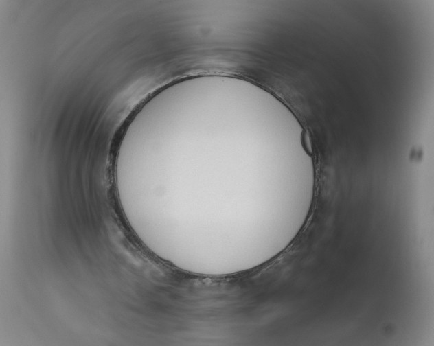 X0000112420338200909041417