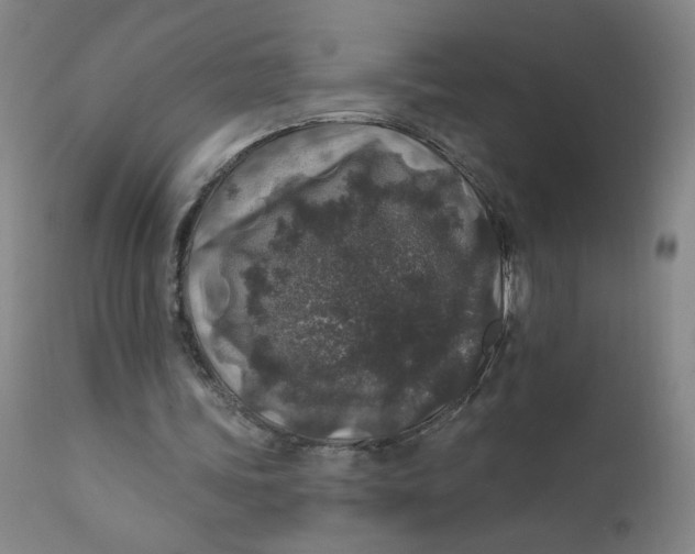 X0000112420339200909041417