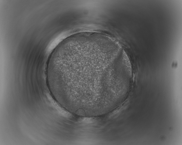 X0000112420341200909041417