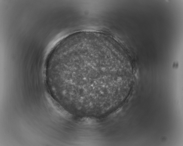 X0000112420343200909041417