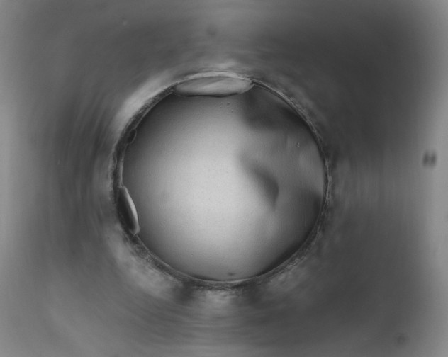 X0000112420344200909041418