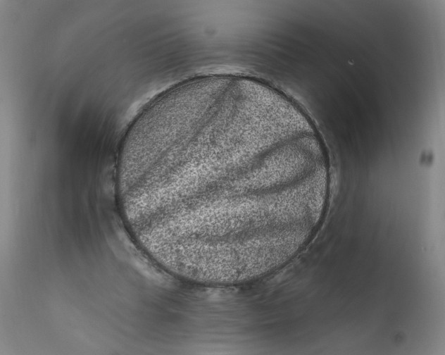 X0000112420345200909041418