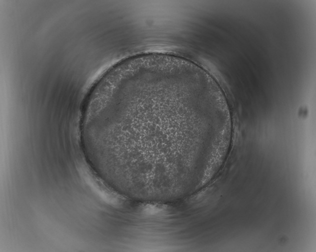 X0000112420346200909041418