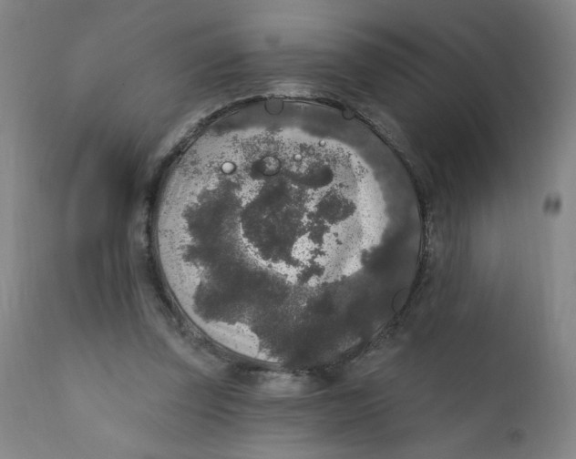 X0000112420347200909041418