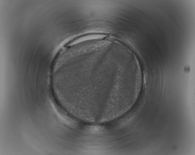 X0000112420348200909041418