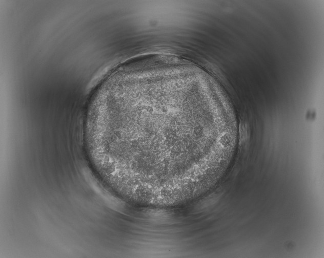 X0000112420349200909041418