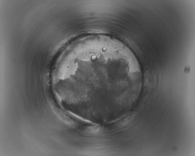 X0000112420351200909041418