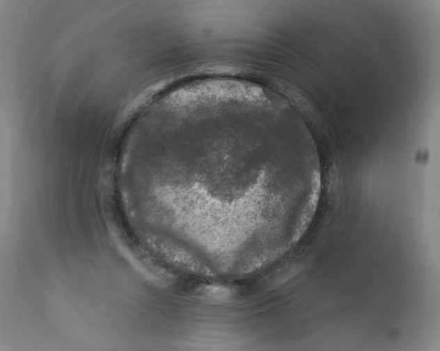 X0000112420352200909041418