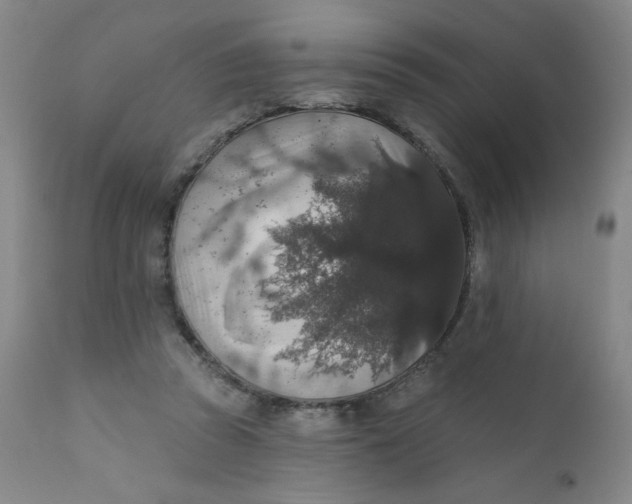 X0000112420353200909041418