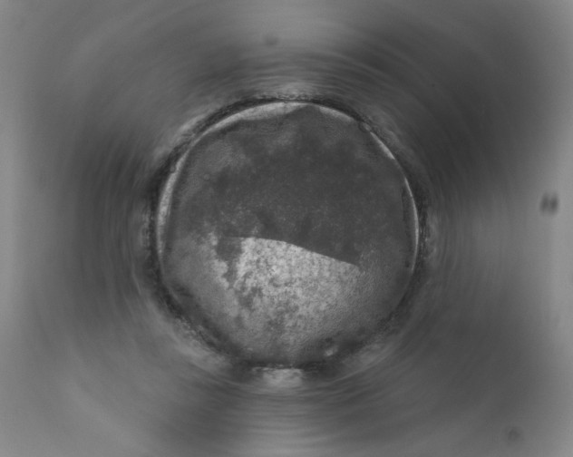 X0000112420355200909041418