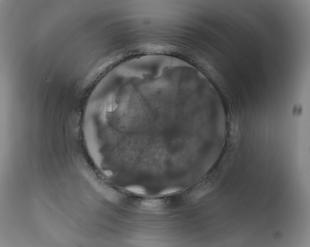 X0000112420357200909041418