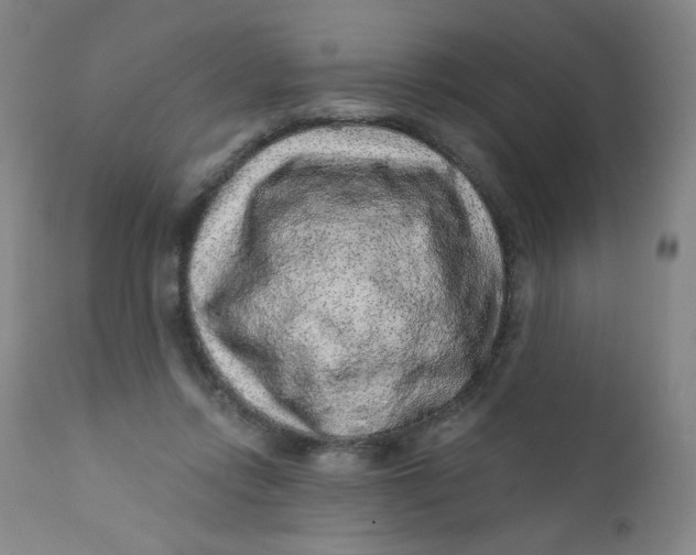 X0000112420358200909041418