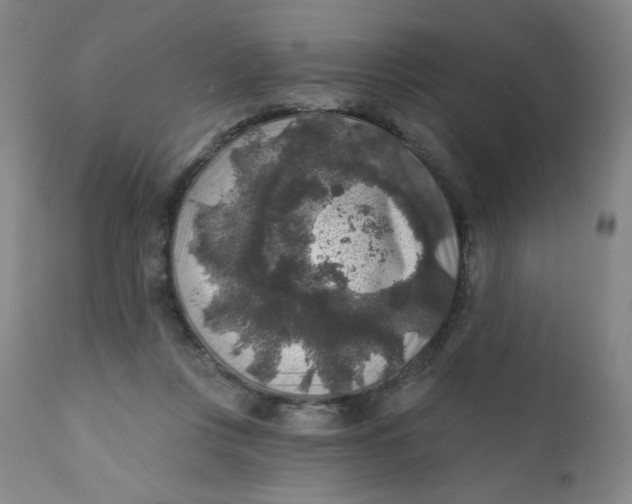 X0000112420359200909041418