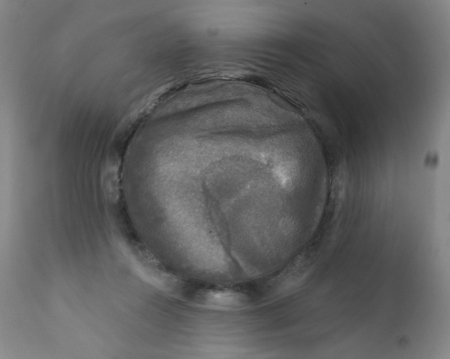 X0000112420360200909041418