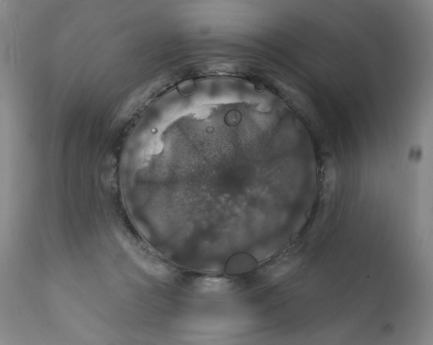 X0000112420361200909041418