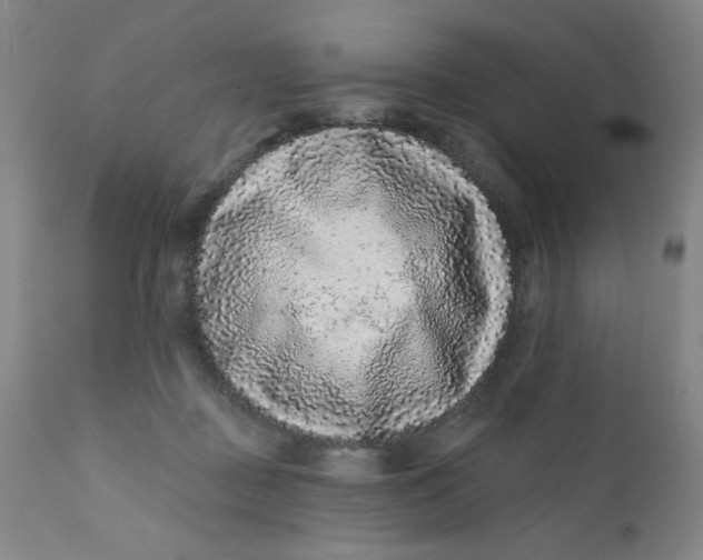 X0000112420363200909041418